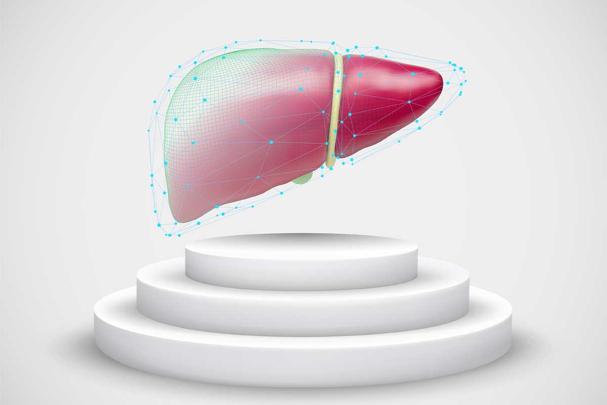 Liver scanning 3D model