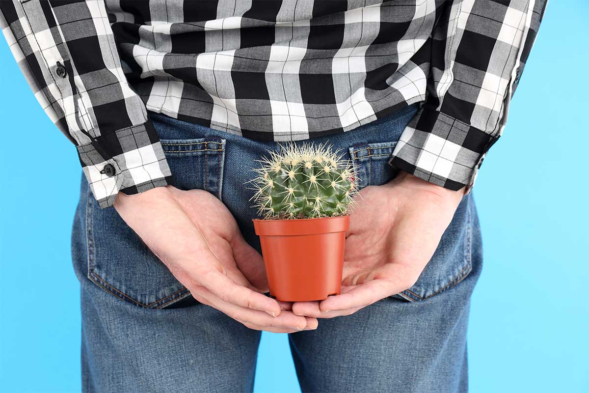 Man holds cactus